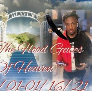 Meet your Posher, Dorothy